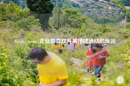 可克达拉企业都喜欢开展团建活动的原因